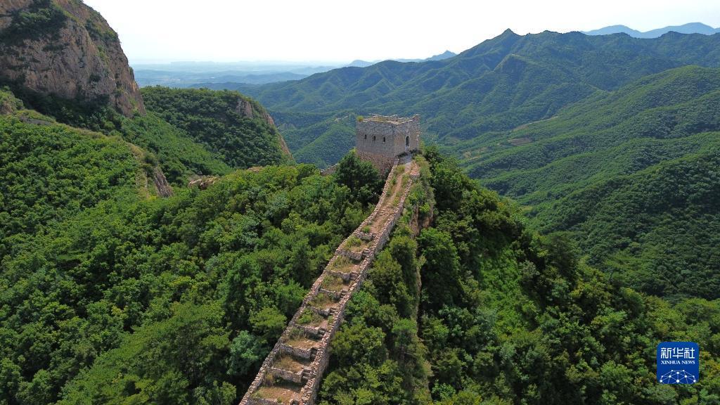 途游斗牛下载